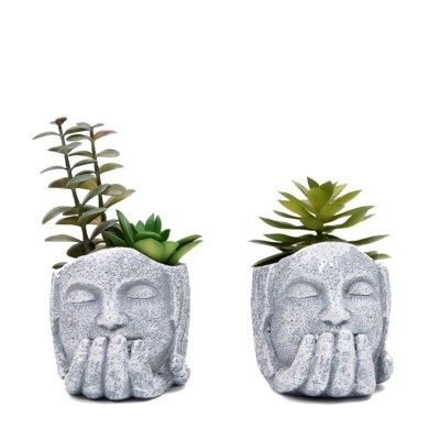 PLANTA CON MACETA BUDA 10CM