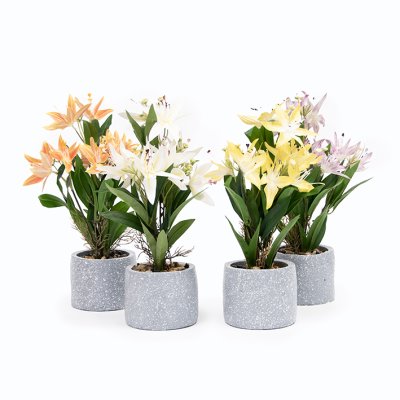 PLANTA CON MACETA 11CM