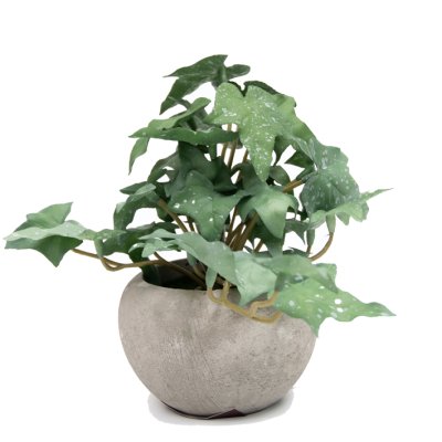 PLANTA CON MACETA 6CM